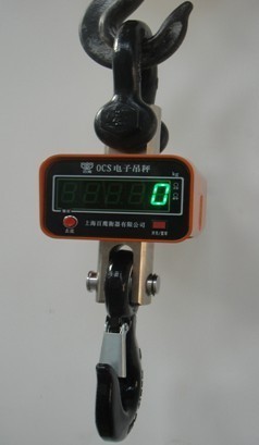 上海吊秤行业概况 5吨吊钩秤与平衡器的市场综述